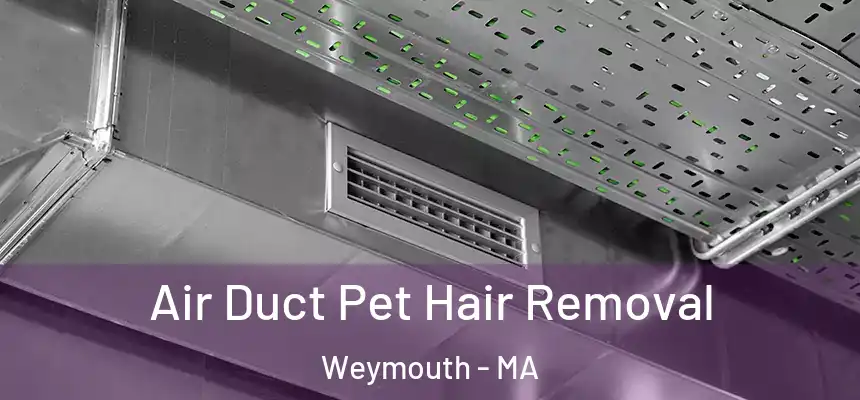 Air Duct Pet Hair Removal Weymouth - MA
