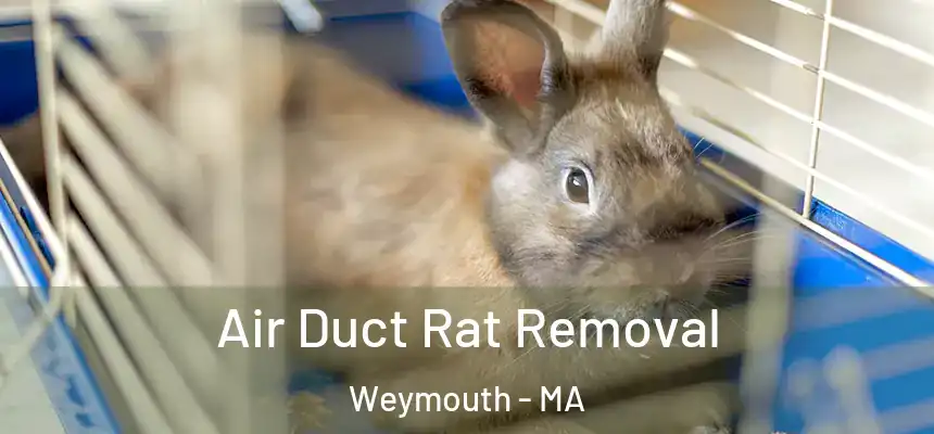 Air Duct Rat Removal Weymouth - MA