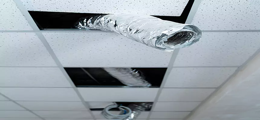 Our Air Duct Pet Hair Removal Services in Weymouth, MA