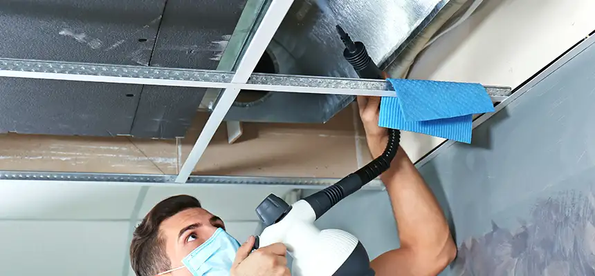 Our Air Duct Rodent Removal Services in Weymouth, MA