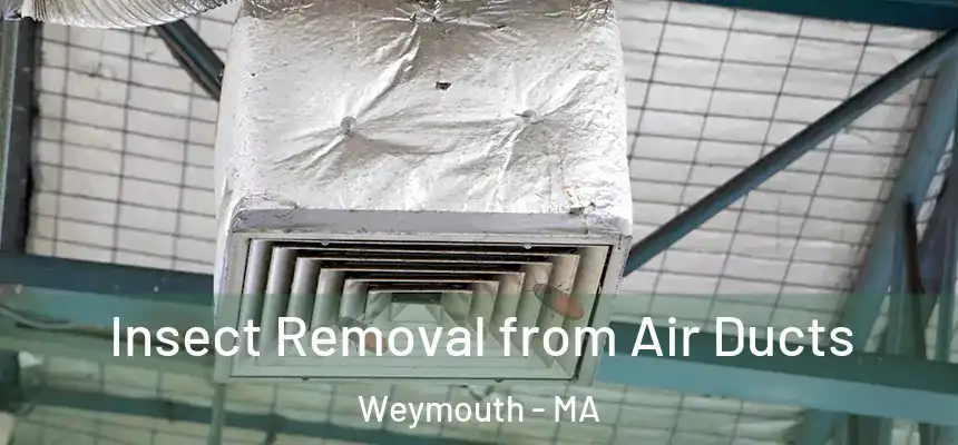  Insect Removal from Air Ducts Weymouth - MA