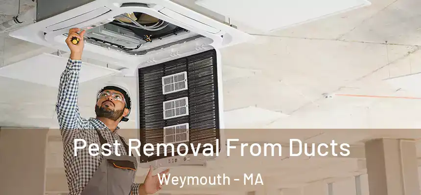 Pest Removal From Ducts Weymouth - MA
