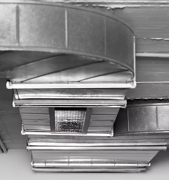 Professional Air Duct Pest Removal in Weymouth, MA