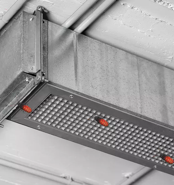 Affordable Insect Removal from Air Ducts in Weymouth, MA
