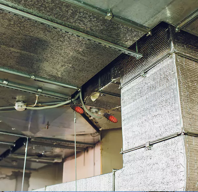 Why Homeowners & Businesses Trust Us in Weymouth, MA?