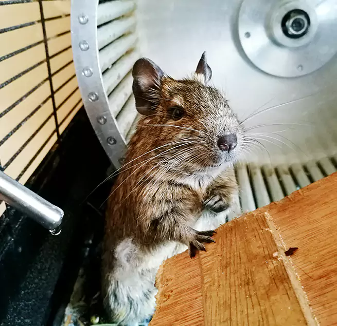 Why Homeowners & Businesses Trust Us Weymouth, MA