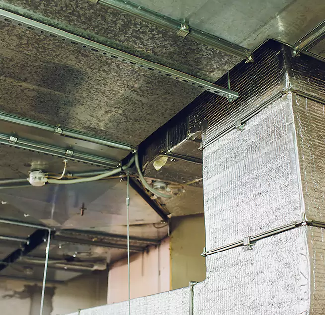 Why Homeowners & Businesses Trust Us in Weymouth, MA?